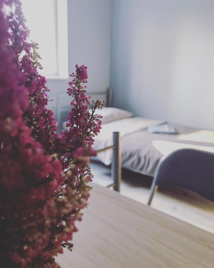 Lawendowy Hostel Wroclaw, Wroclaw